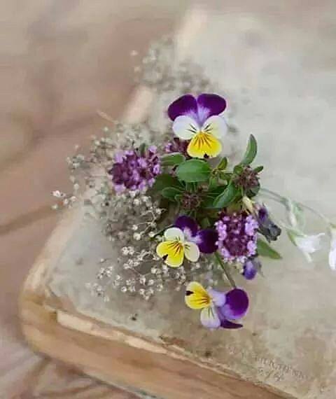 SENTIDOS por Carolina Artana